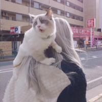 說(shuō)寒煙