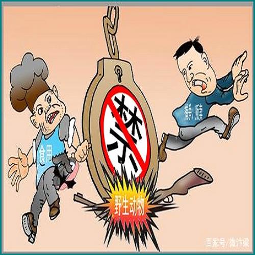 拍拍貸欠了五萬逾期了