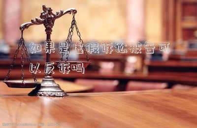如果是虛假訴訟被告可以反訴嗎