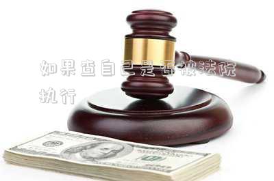 怎么查自己被哪個法院執(zhí)行了(怎么查自己是否被法院執(zhí)行了)