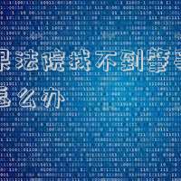 如果法院找不到肇事司機(jī)怎么辦