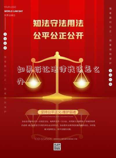 如果訴訟法律我該怎么辦