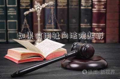 如果信用社向法院起訴