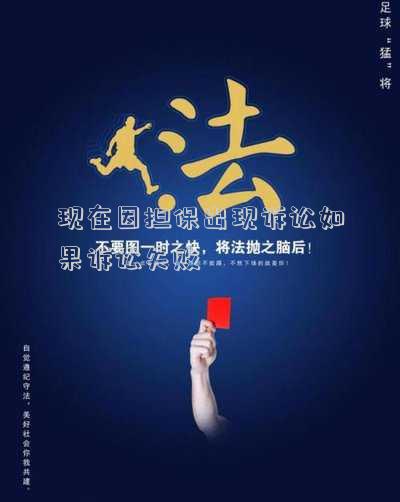 現(xiàn)在因擔(dān)保出現(xiàn)訴訟如果訴訟失敗