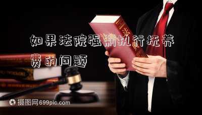 如果法院強(qiáng)制執(zhí)行撫養(yǎng)費(fèi)的問(wèn)題