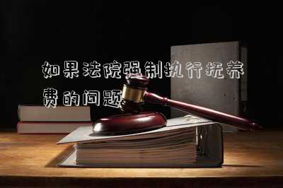 如果法院強(qiáng)制執(zhí)行撫養(yǎng)費(fèi)的問題