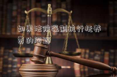 如果法院強(qiáng)制執(zhí)行撫養(yǎng)費(fèi)的問題