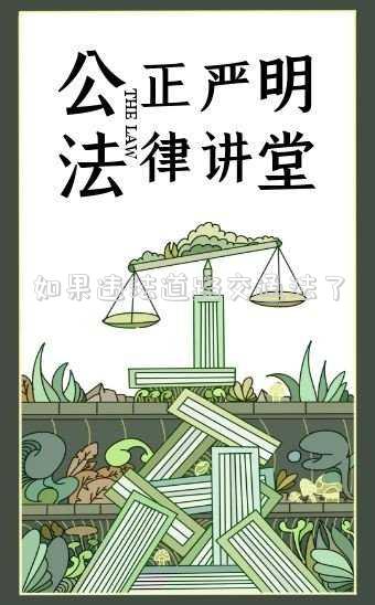 如果違法道路交通法了