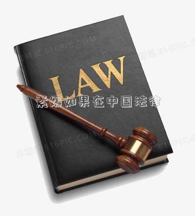 素媛如果在中國(guó)法律