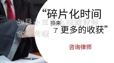 如果小三告上法院律師會(huì)咋處理