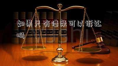 如果只有借條可以訴訟嗎